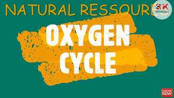 CHAPTER-14 : NATURAL RESOURCES | CBSE CLASS-9 SCIENCE | BIOGEO CHEMICAL CYCLE | OXYGEN CYCLE