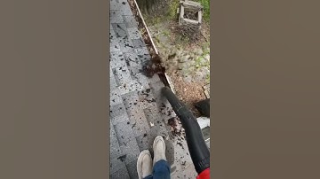 PACKED Gutter Cleaning | #shorts #lawn #guttercleaning