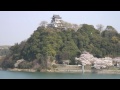 犬山城と桜