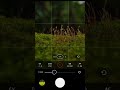 Photography Tutorial for Beginners | Master Camera Settings &amp; Composition #photographytutorial