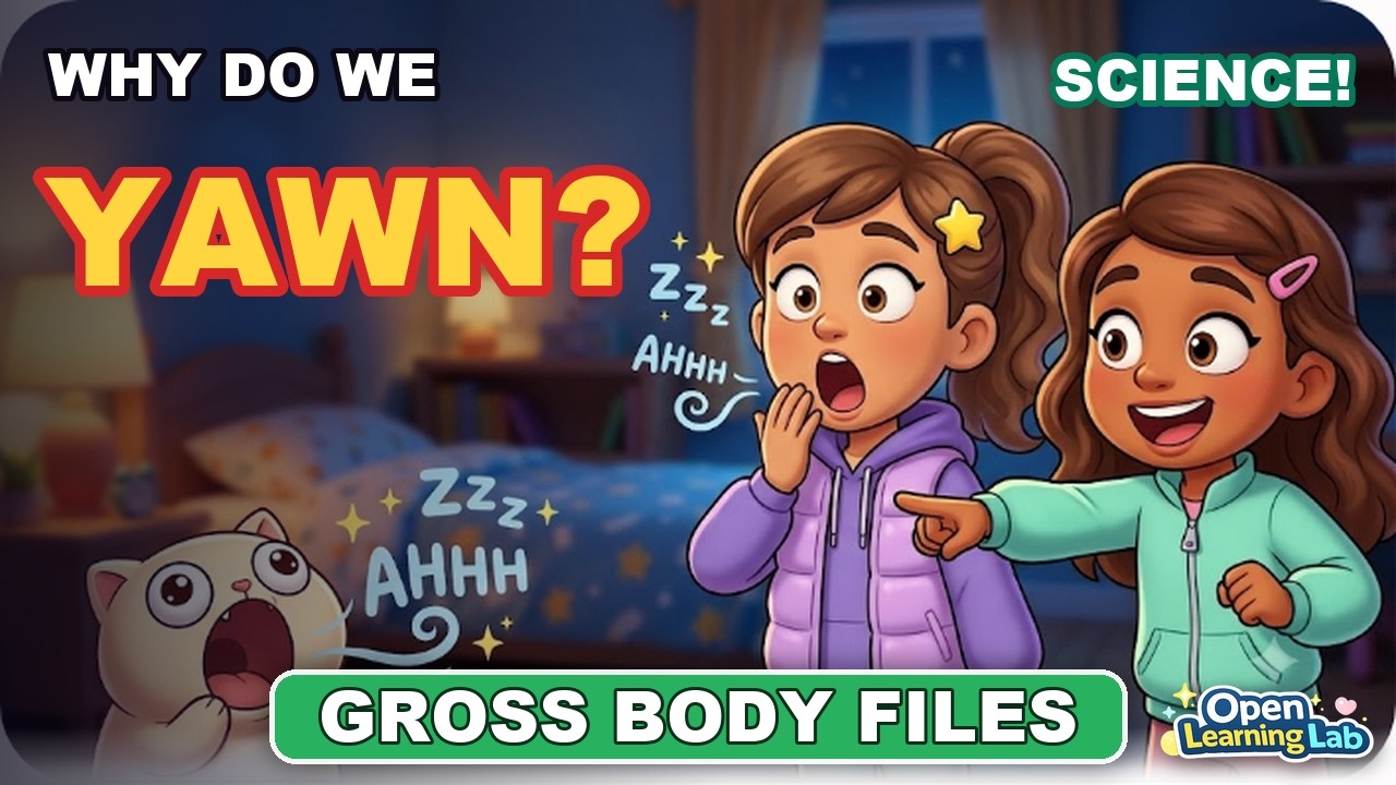 Why Do We Yawn? | Science for Kids
