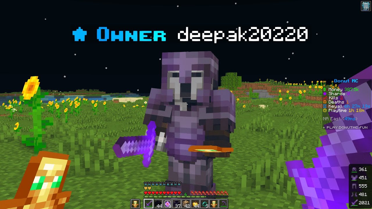 How I Joined Indian DonutMC Server!