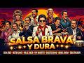Salsa Brava y Vieja Mix ✨ Héctor Lavoe, Rubén Blades, Frankie Ruiz, Eddie, Gran Combo, Niche, Oscar