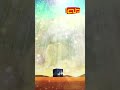 علي أميري معايدة 1