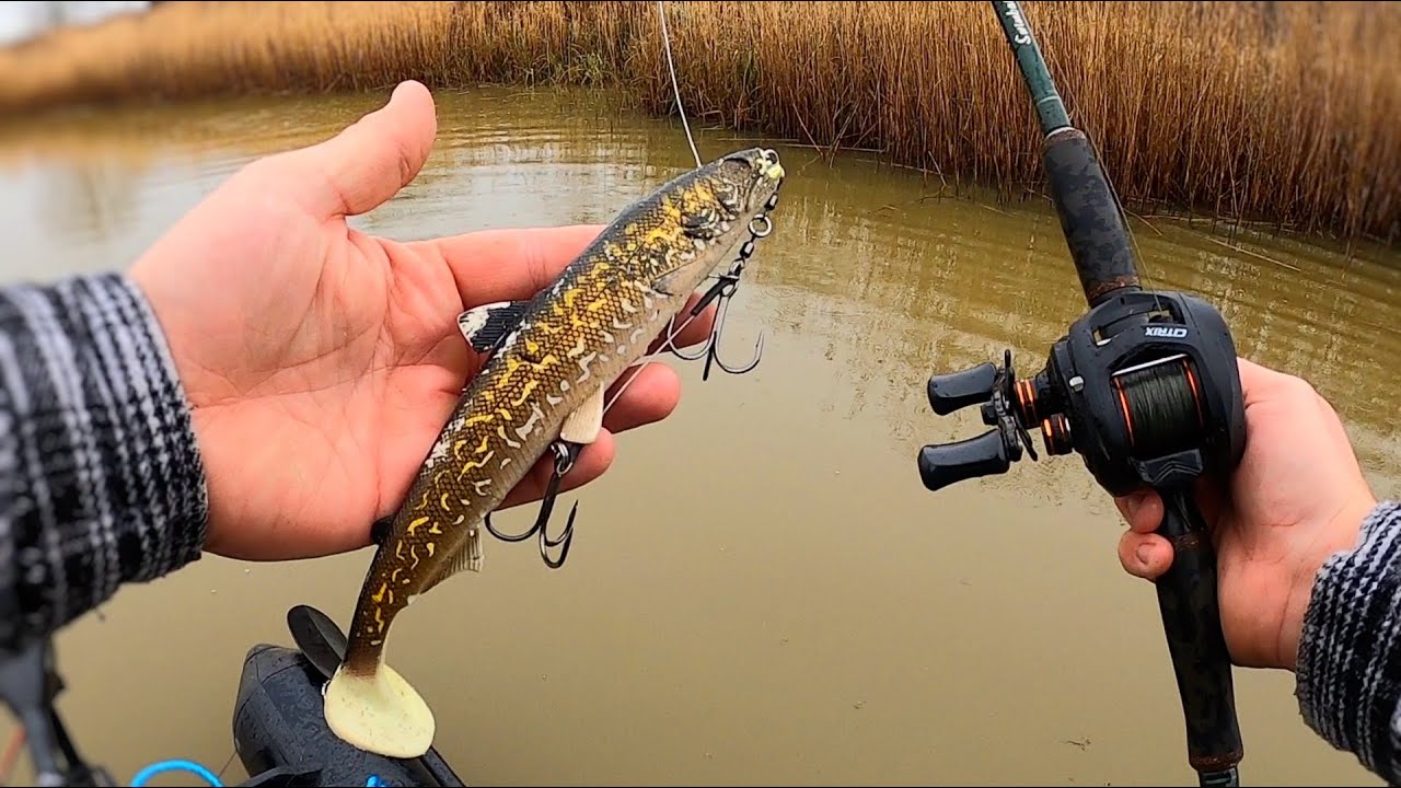 Catching BIG Pike from a Tiny Drain! (new PB!) 