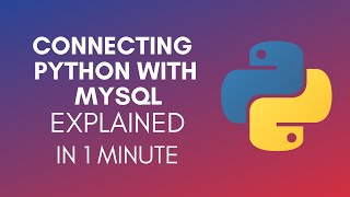 How To Connect Python With MySQL? (2024)