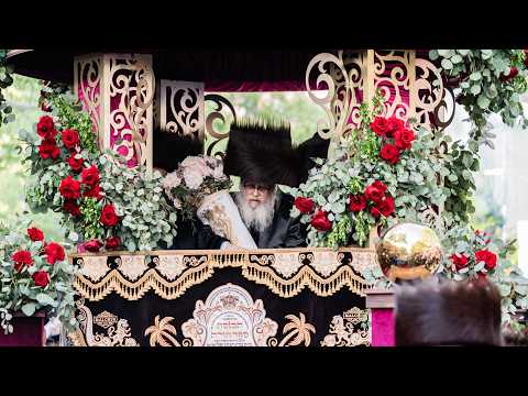 Satmar Hachnusas Sefer Torah - Lag Beomer '26 | הכנסת ספר התורה של האדמו"ר מסאטמאר - ל"ג בעומר תשפ"ו
