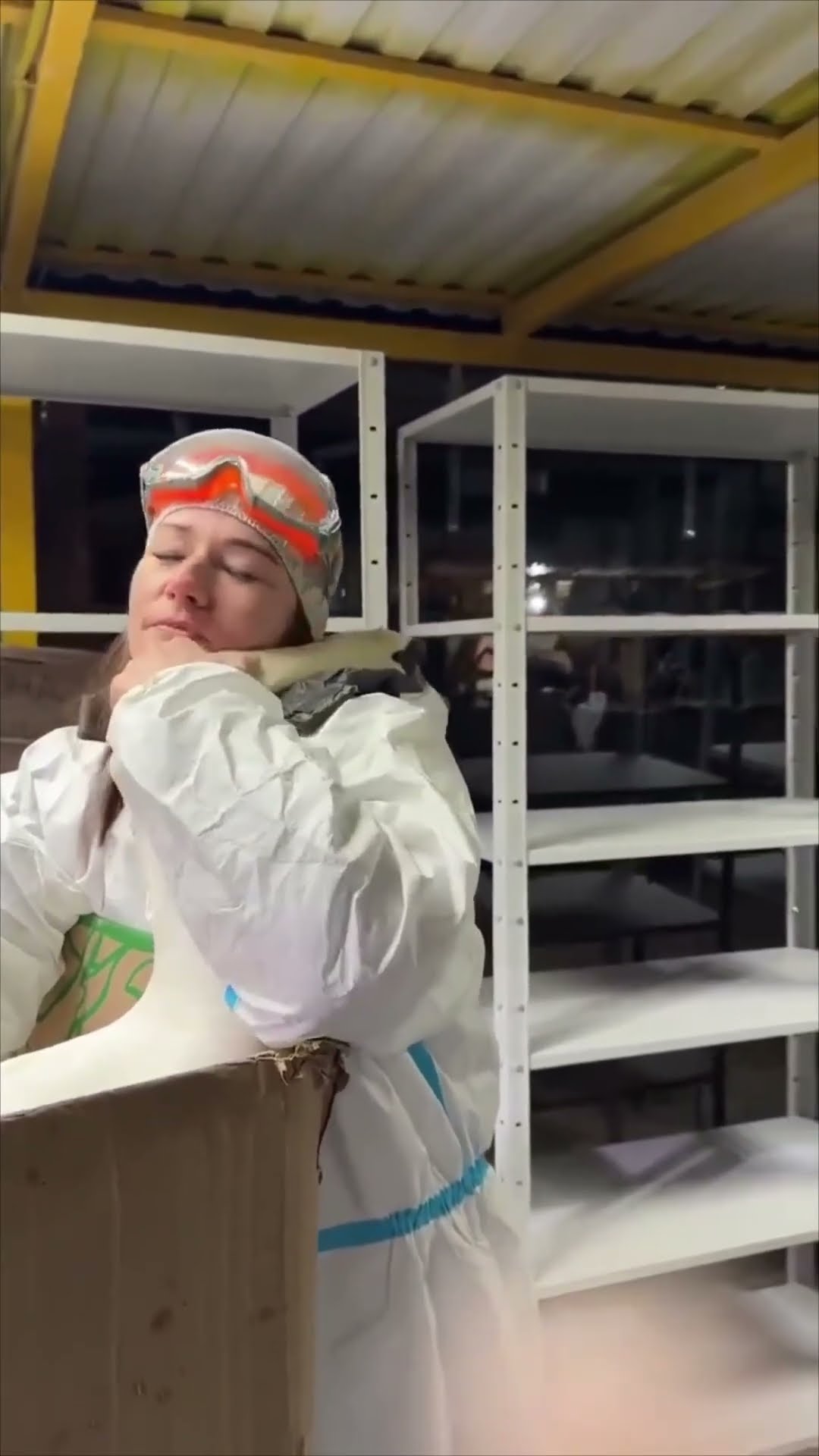 Swan Shows Gratitude by Hugging Its Rescuer