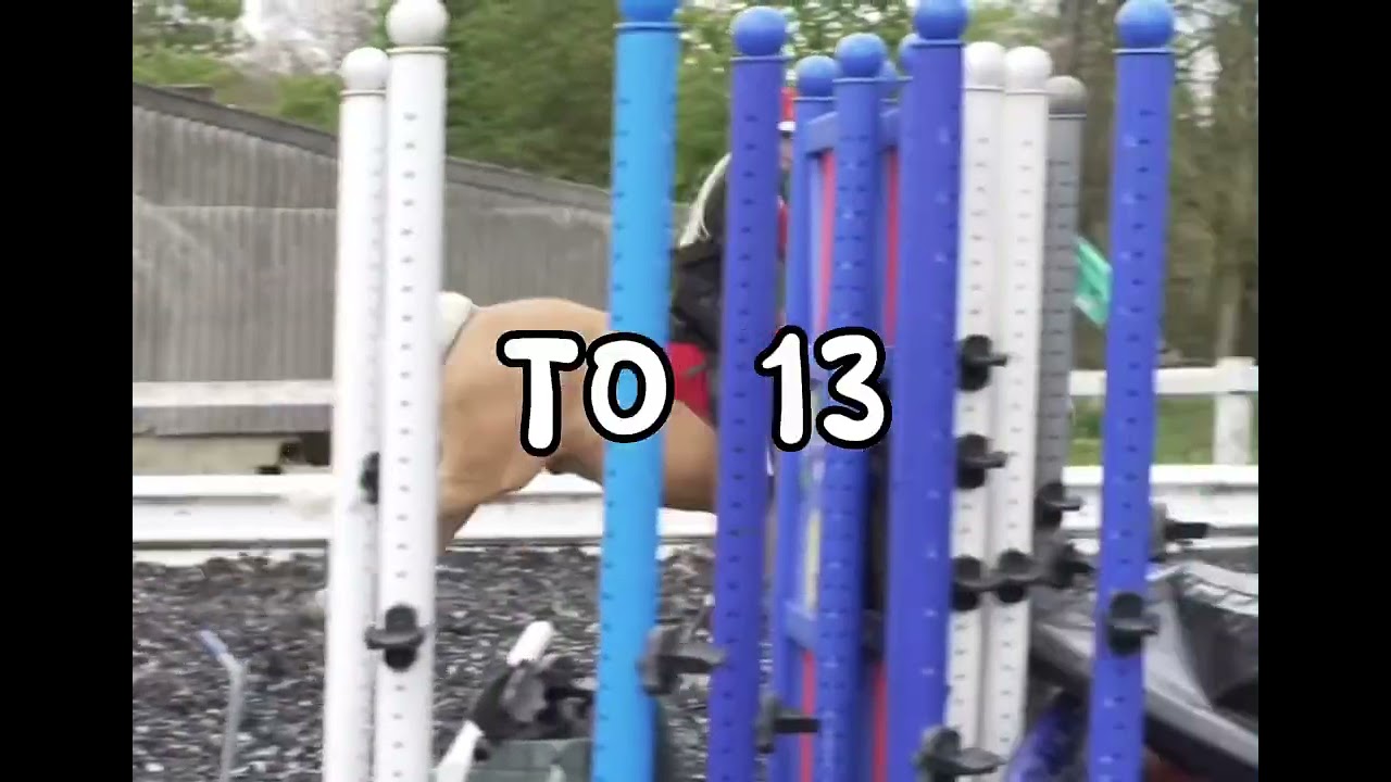 Birthday cake Harlow and Popcorn The White Family YouTube