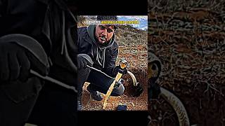 Normal Animal Fond Camra Skill Vs Highest Animal Fond Camra...