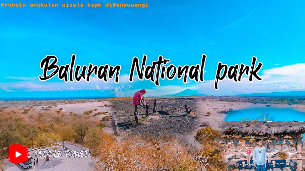 Nyobain Angkutan KSPN DiBanyuwangi - Tujuan Taman Nasional Baluran