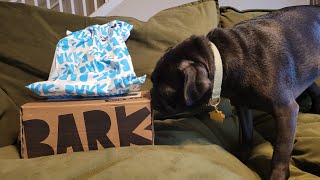 BarkBox Unboxing and September 2023 Theme Reveal