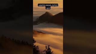 Learn Basic First Aid