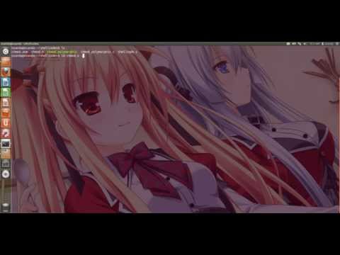 Chmod 077 /etc/shadow Polymorphic Shellcode