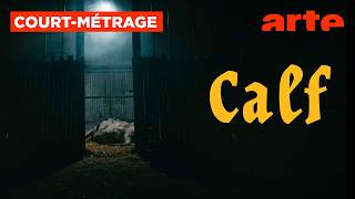 Calf (2023)
