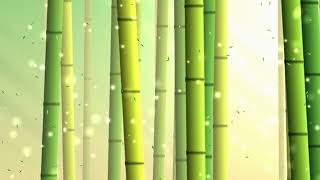 Peaceful bamboo forest 4k Visual Loop | Python + Taichi CUDA | 60 FPS
