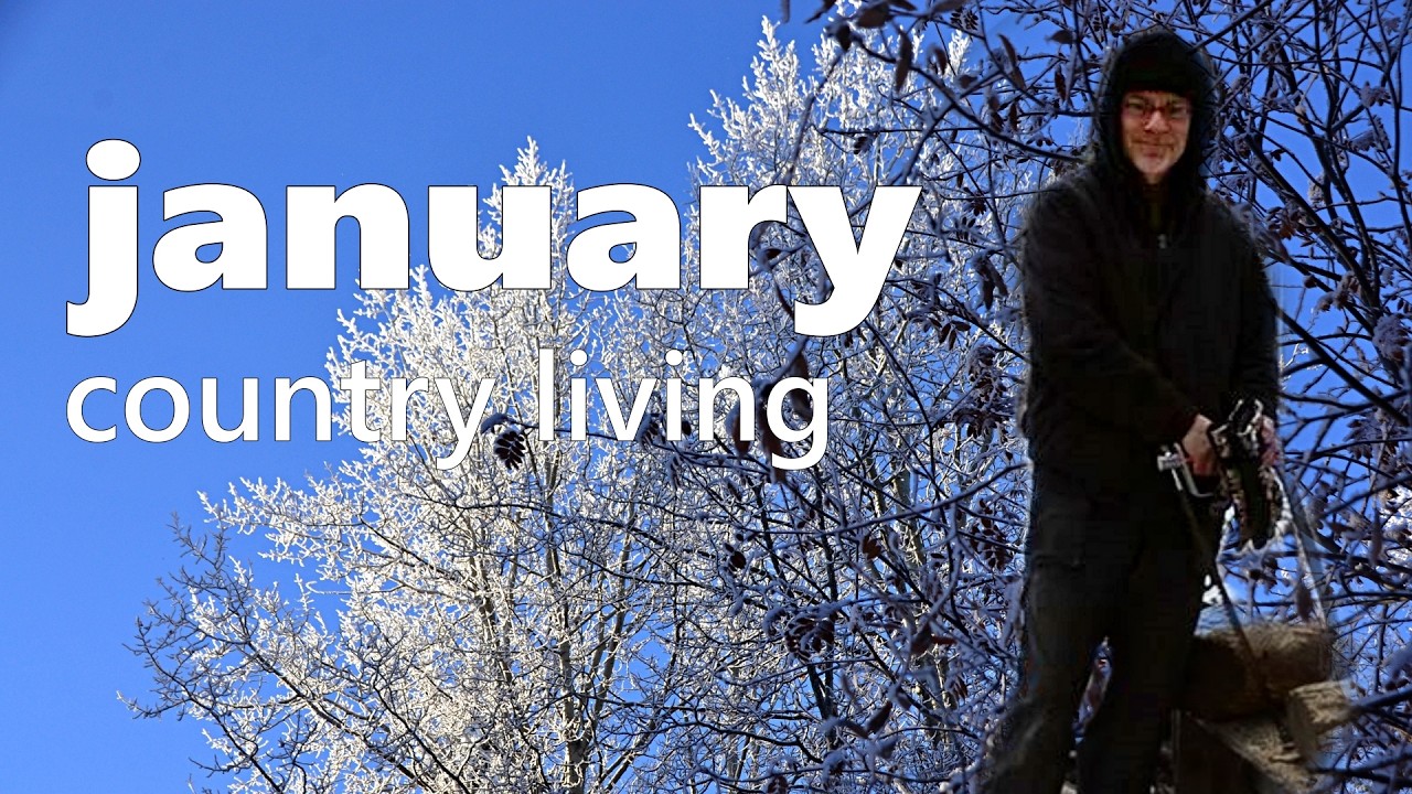January Country Living: New Saw,  Snow, Melt Repeat