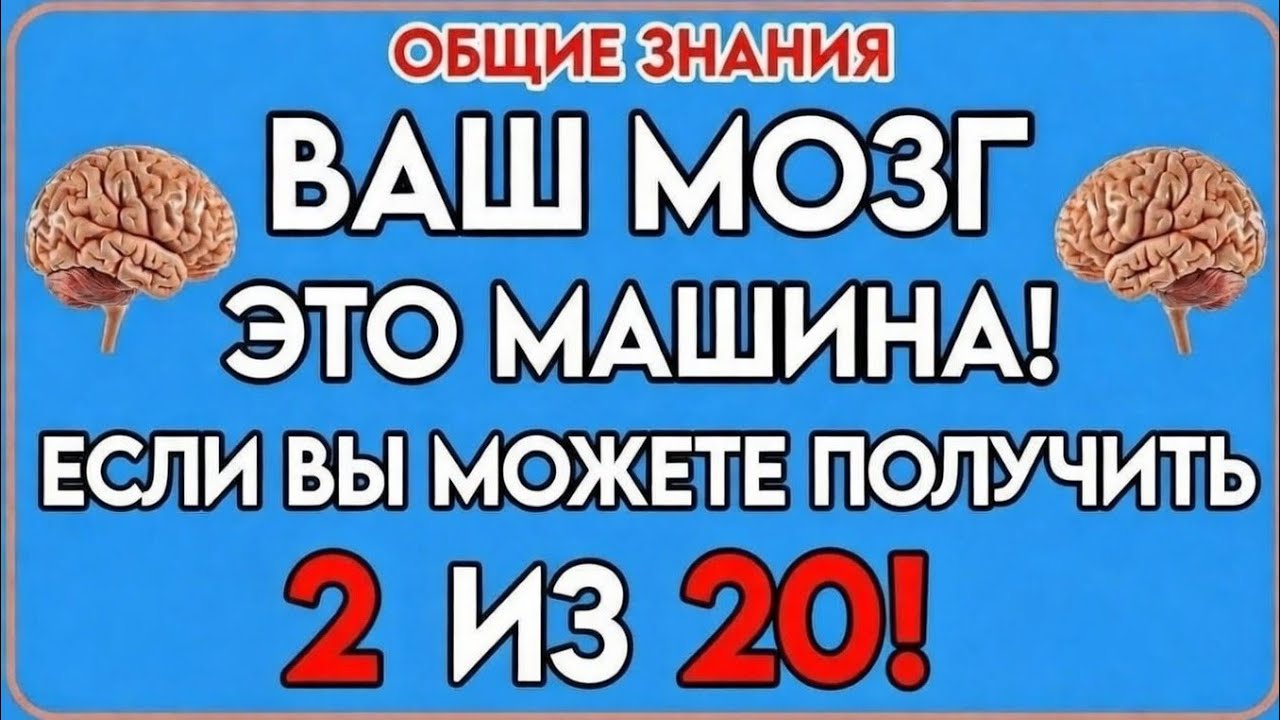 ВАШ МОЗГ — ЭТО МАШИНА! Сможешь набрать хотя бы 2 из 20? 🔥 Тест на общие знания