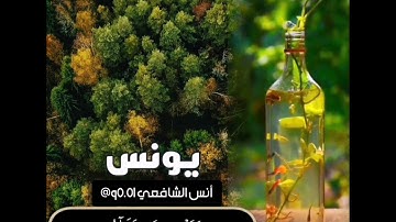 والله يدعوا إلى دار السلام ويهدي من يشاء إلى صراط مستقيم.. سورة يونس للقارئ أنس الشافعي