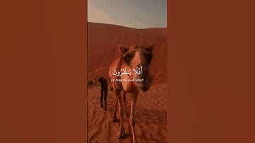 Surah Al-Ghashiyah 10-20 سورة الغاشية ١٠-٢٠