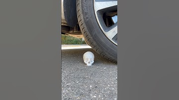 Prusament Resin Flex80 | Flexibility Test