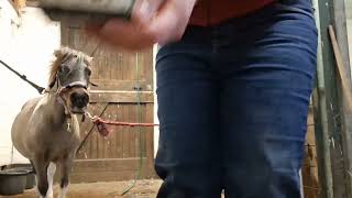 Download Lagu Aflevering 6 : de nikki verwen dag MP3