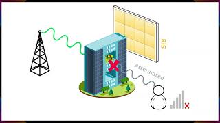 STAR-RIS Enhanced CoMP NOMA Networks