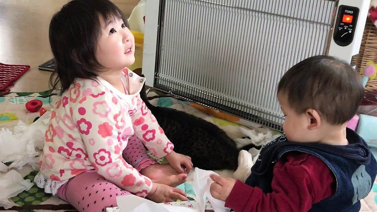ティッシュ遊び 猫さんと赤ちゃん お姉ちゃんはお友達122 Youtube ティッシュ遊び 猫さんと赤ちゃん お姉ちゃんはお友達122 Youtube
