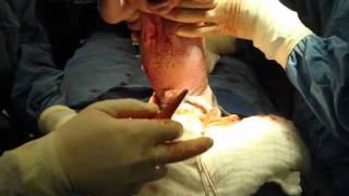 Todo El Amor Para Mami Caro