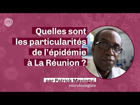Quelles sont les particularités de l’épidémie à La Réunion ? | La parole à la science #PodcastCNRS Quelles sont les particularités de l’épidémie à La Réunion ? | La parole à la science #PodcastCNRS