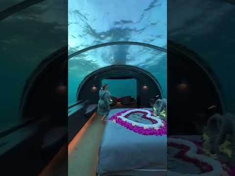 Maldives underwater hotel $50k/night #shorts