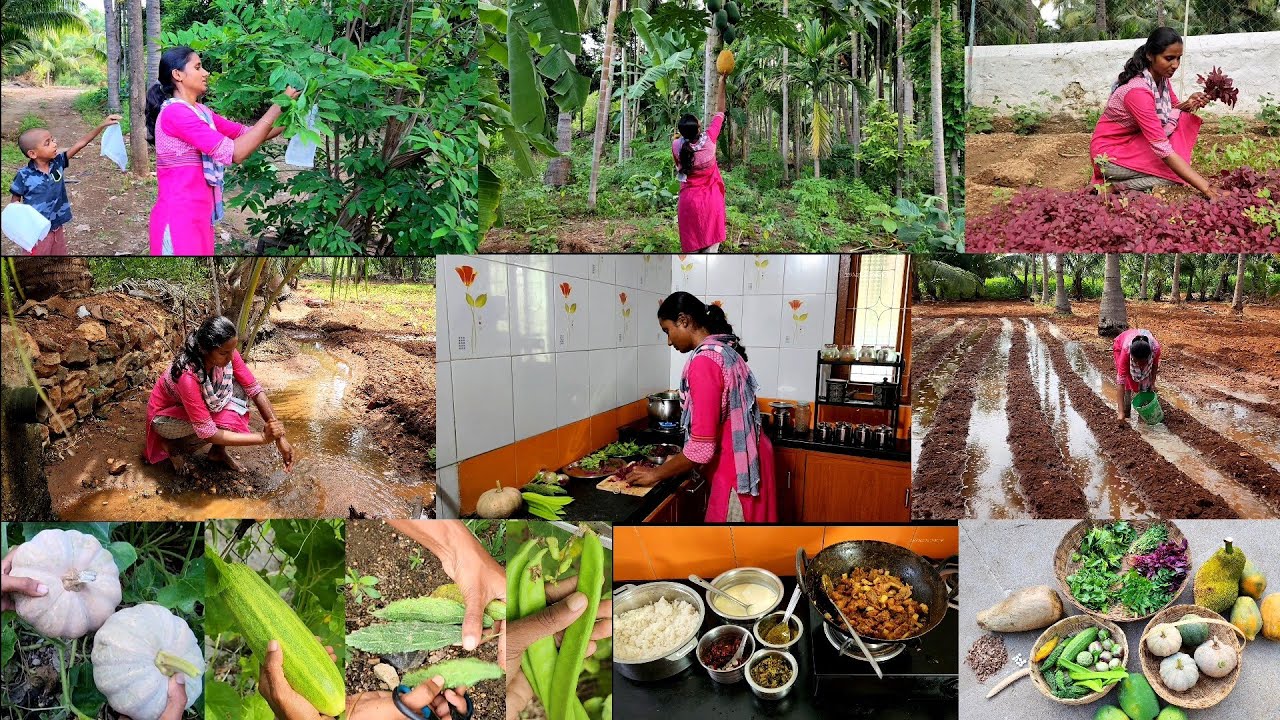 இவளோ வேலை செஞ்சாலும் இந்த ஒரு சந்தோசம் எதுல கிடைக்குங்க/Harvesting  vegetables and cooking lunchmenu