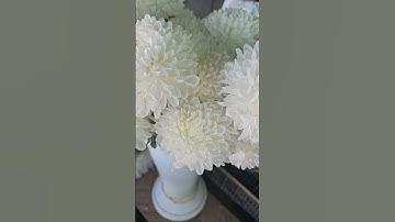 Thumbnail of #flowers #bouquetmasterfloweshopph #floristic #rose #florist #tulip #love #bouquet #redrose #plants