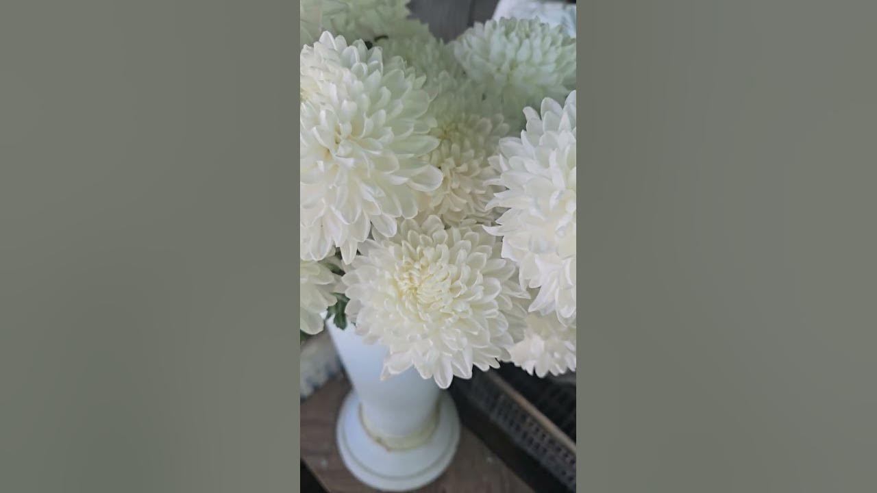 #flowers #bouquetmasterfloweshopph #floristic #rose #florist #tulip #love #bouquet #redrose #plants