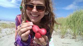 Balloon Girl Inflating Clear Unicorn Loon And More On Beach Happy Looner Inflates, Deflates Asmr