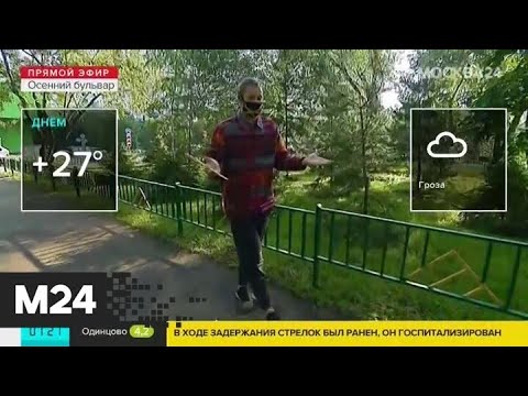 "Утро": какая погода ожидает москвичей - Москва 24