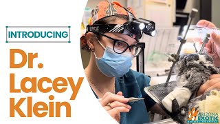 Meet our Veterinarians: Dr. Lacey Klein, DVM | Arizona Exotic Animal Hospital