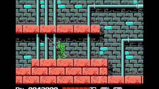 Teenage Mutant Ninja Turtles [NES] [Walkthrough]