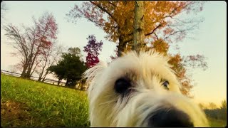 enjoy the moment.
enjoy the moment.
thankful for the present.
a snapshot in time.
Chill Lofi/Ambient soundscape/instrumental. Hope you Enjoy.
Shoutout to Robert for helping me create this. I love you brother. Everything will be alright. You know im always here if you need me.
See the best in people.
π· Instagram:
instagram.com/hellabeatsofficial
π» Snapchat: @hellaquake
π§ Email: hellaquake@gmail.com enjoy the moment.