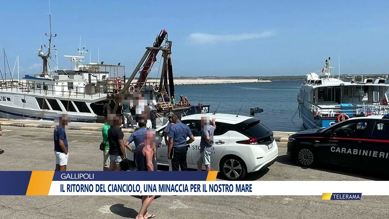 Il ritorno del cianciolo, una minaccia per il nostro mare