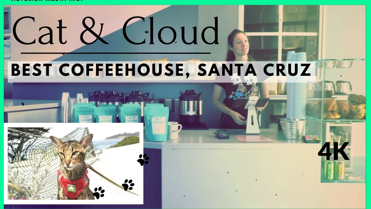 Daisy's Diary: The Best Coffee/Coffeehouse in Santa Cruz, Cat & Cloud, Coffee & Good Eats 4K