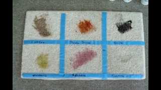 Smart Strand test video www.esteamcarpetcleaning.com screenshot 4