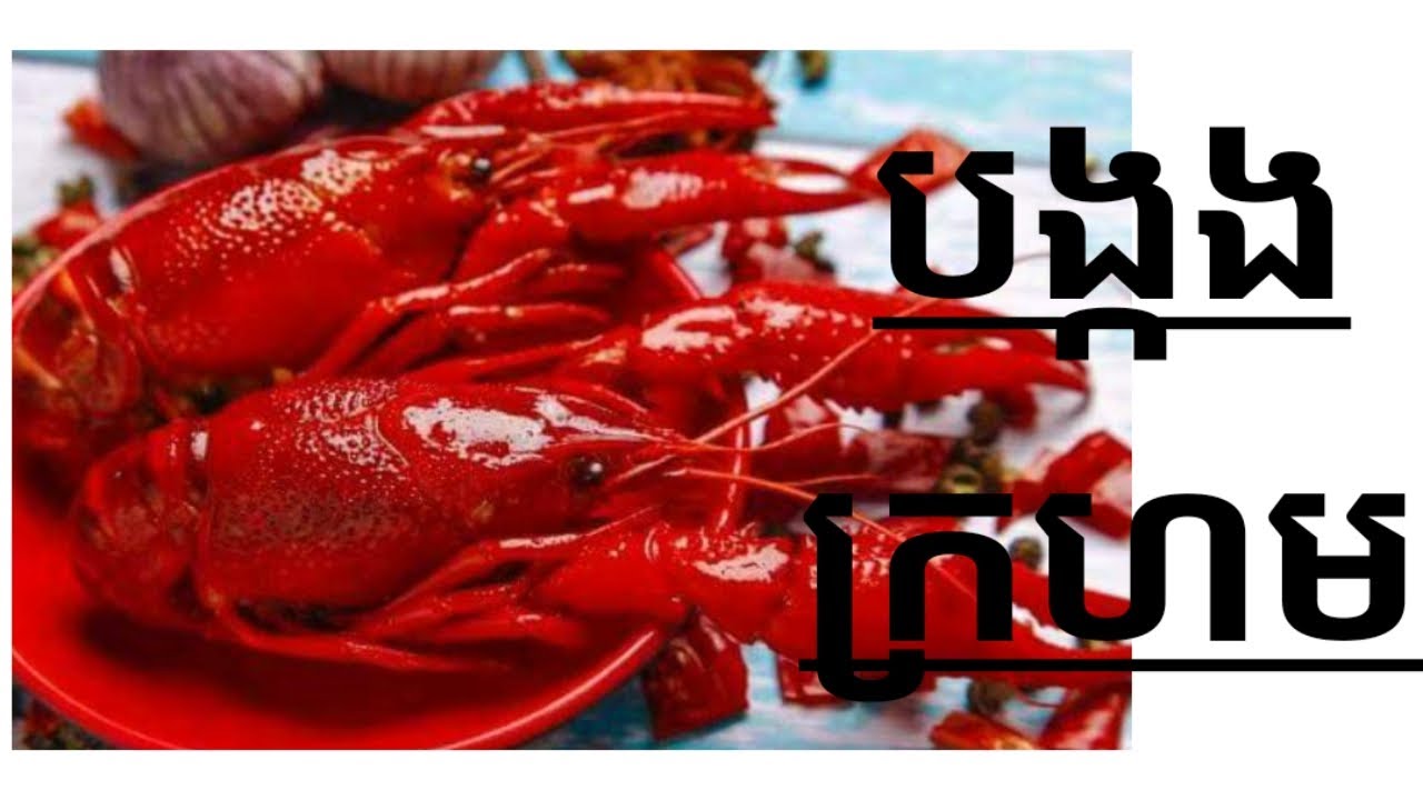 បង្កងបរទេសមកដល់ស្រុកខ្មែរហើយ #វារីវប្បកម្មកម្ពុជា 