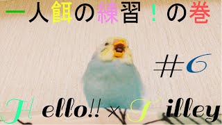 Hello! This animation is a grown-up record of Tilley. Please enjoy ...