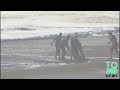 VIDEO: Beachgoers, bumuo ng human chain para iligtas ang stranded swimmers!