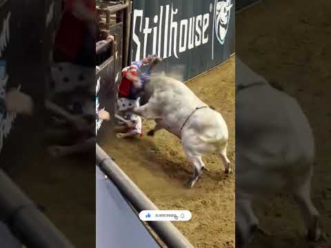 The Ultimate Bullfighters got the moves