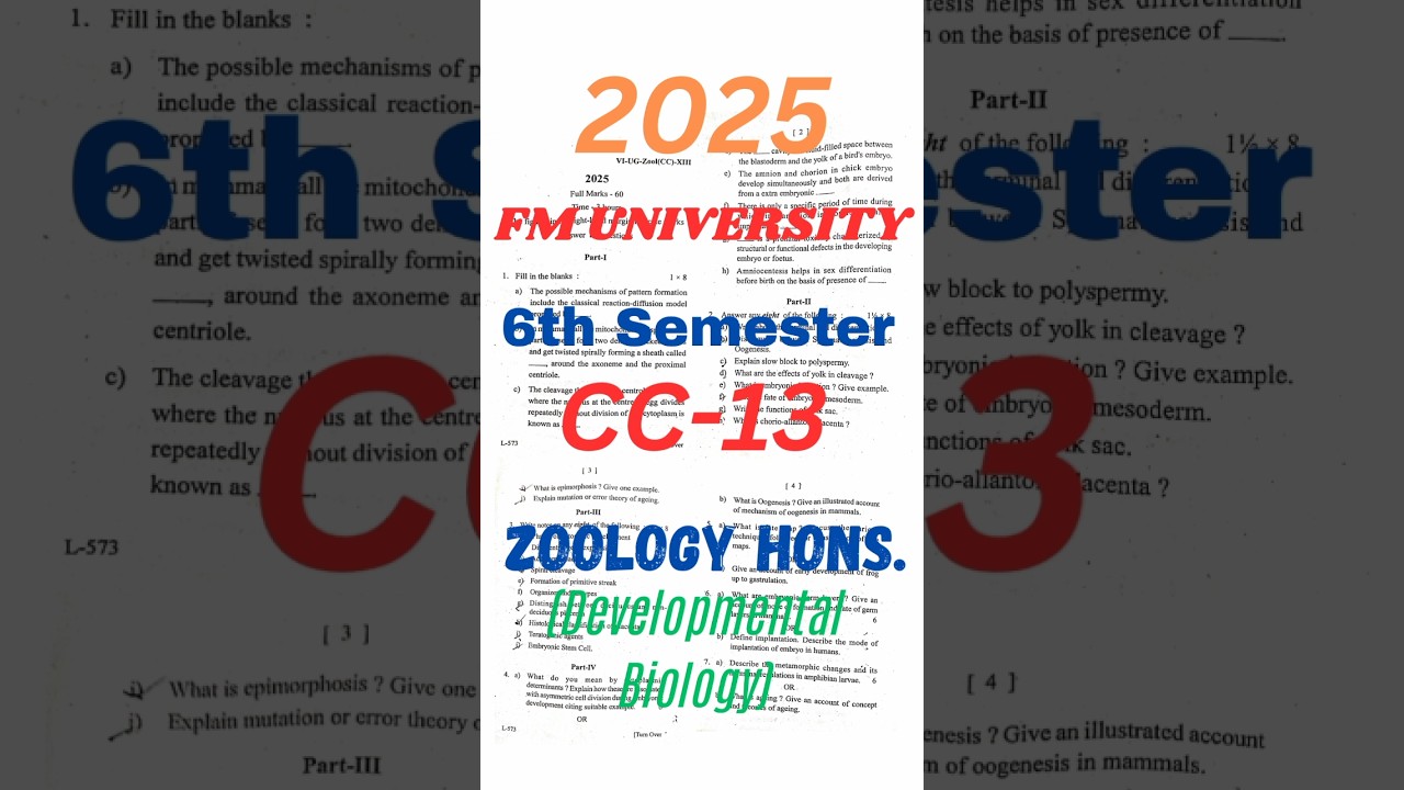 +3 6th Semester CC-13 Developmental Biology ZOOLOGY Hons. 2025 PYQ