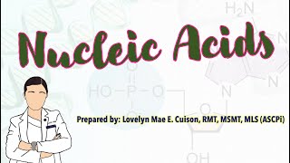 NUCLEIC ACIDS: DNA AND RNA