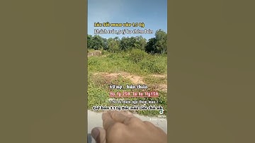 Bể nợ bán tháo lỗ 200 triệu  / Bác nào cứu chủ với#bds#datgiare#datthocu#dautubatdongsan#reviewbđs