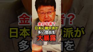 【北村晴男】日本の政治家に親中派が多い理由をズバリ解説 #日本保守党 #二階俊博 #岸田文雄 #林芳正 #自民党 #shorts